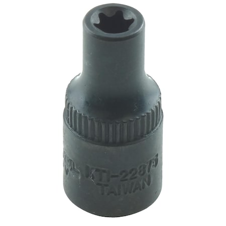 External Torx Socket, 1/4Dr, E-5, Material: Chrome Vanadium Steel